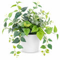 Plante Artificielle Feuillage Varié avec Pot Blanc 35 cm