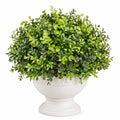 Plante Artificielle Verte en Pot Décoratif, 25 cm