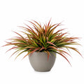 Plante Décorative en Pot Couleurs Vert et Rouge, Hauteur 40 cm