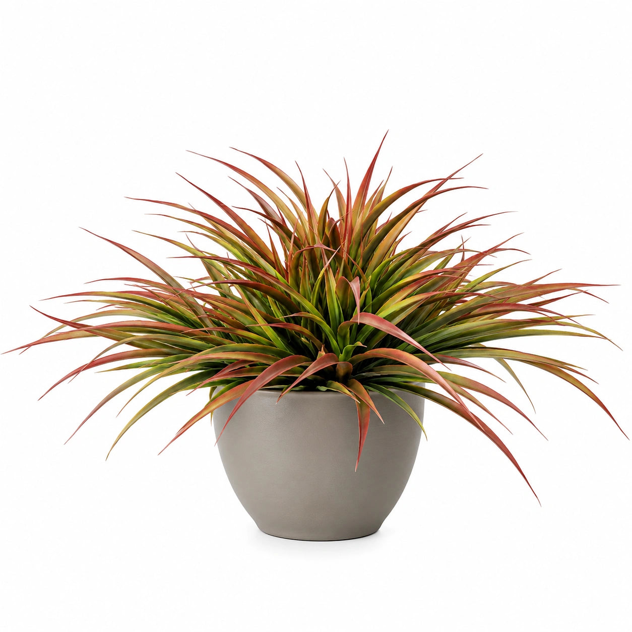 Plante Décorative en Pot Couleurs Vert et Rouge, Hauteur 40 cm