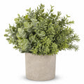 Plante Artificielle en Pot Vert et Gris Hauteur 25cm