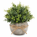 Plante Artificielle de Buis avec Pot en Béton et Corde en Jute - Vert 25 cm